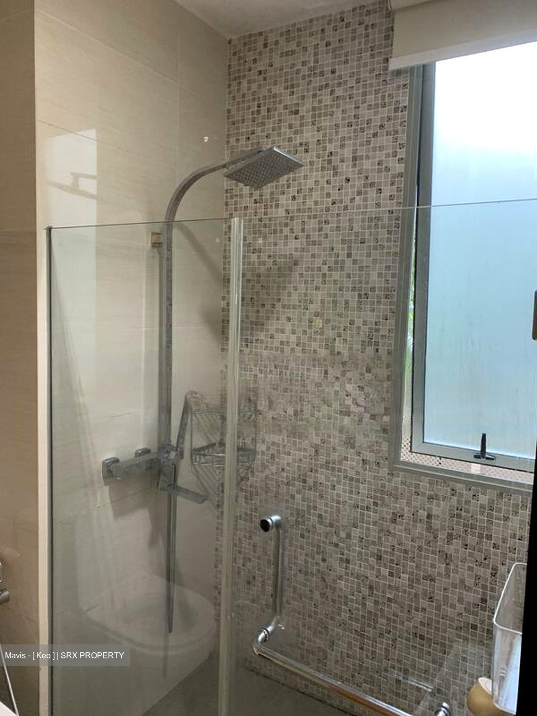 Loft @ Stevens (D10), Apartment #456927811
